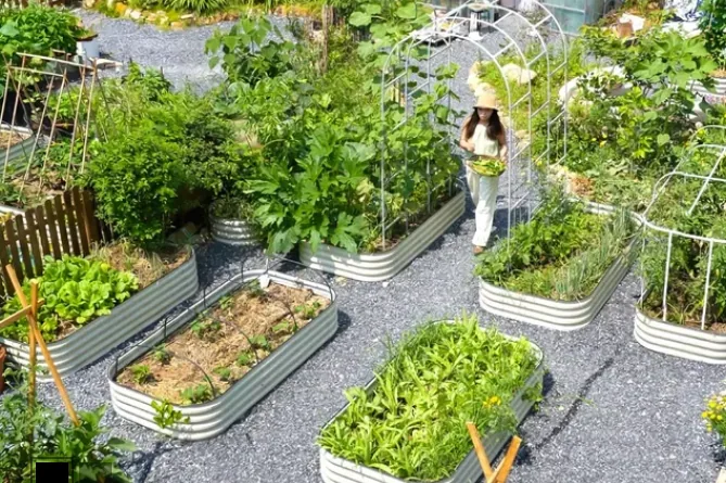 Vegega Raised Garden Beds